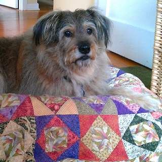 Constance Pereyni Collage Artist