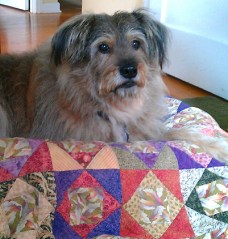 Constance Pereyni Collage Artist