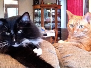 Constance Pereyni Collage Artist