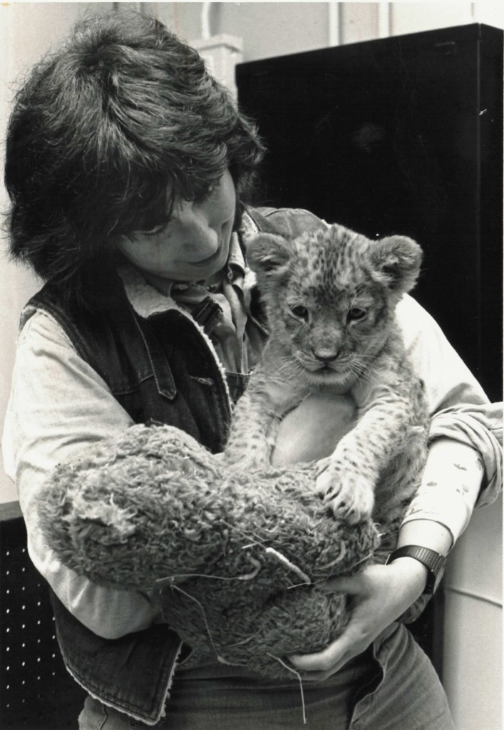 Constance Pereyni Collage Artist