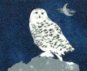 Snowy Owl, paper collage, 2013