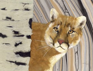 Cougar Portrait