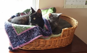 Valentine and Jasper